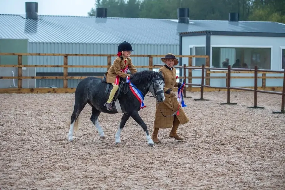 Working Hunter, Ridden and In Hand Showing Show Saturday 21st March 2026 