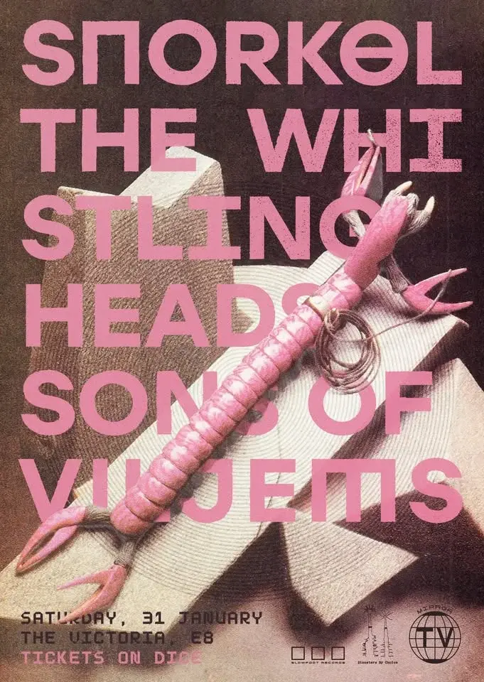 MIRROR TV / DISASTERS BY CHOICE PRESENT - SNORKEL/ THE WHISTLING HEADS/ SONS OF VILJEMS (+GUEST)