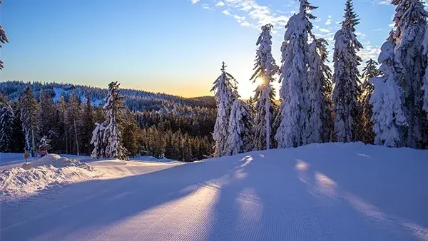Skidresan Romme Alpin