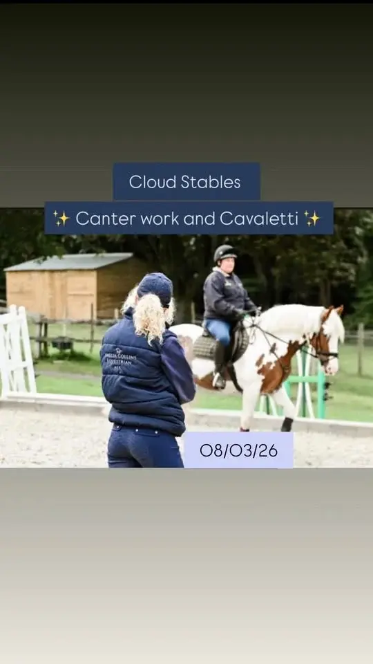 INDOOR - Canter Work and Cavaletti 