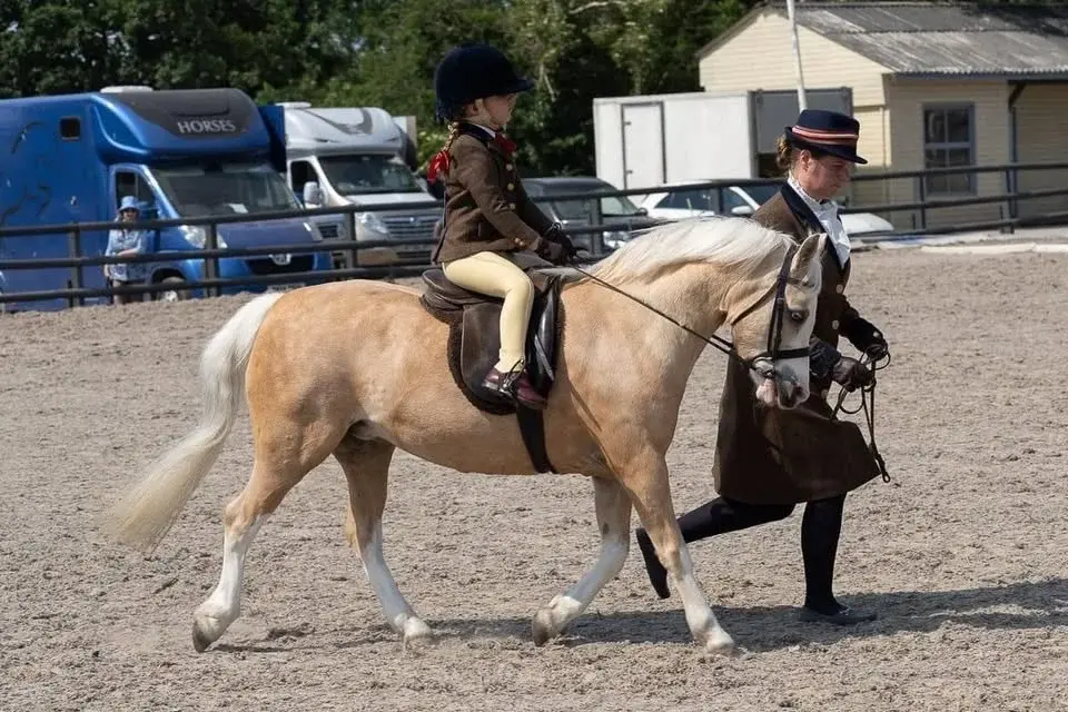 🐴Indoor Ridden And Inhand Show 🐴 & Unaffiliated Showjumping (outdoor arena)