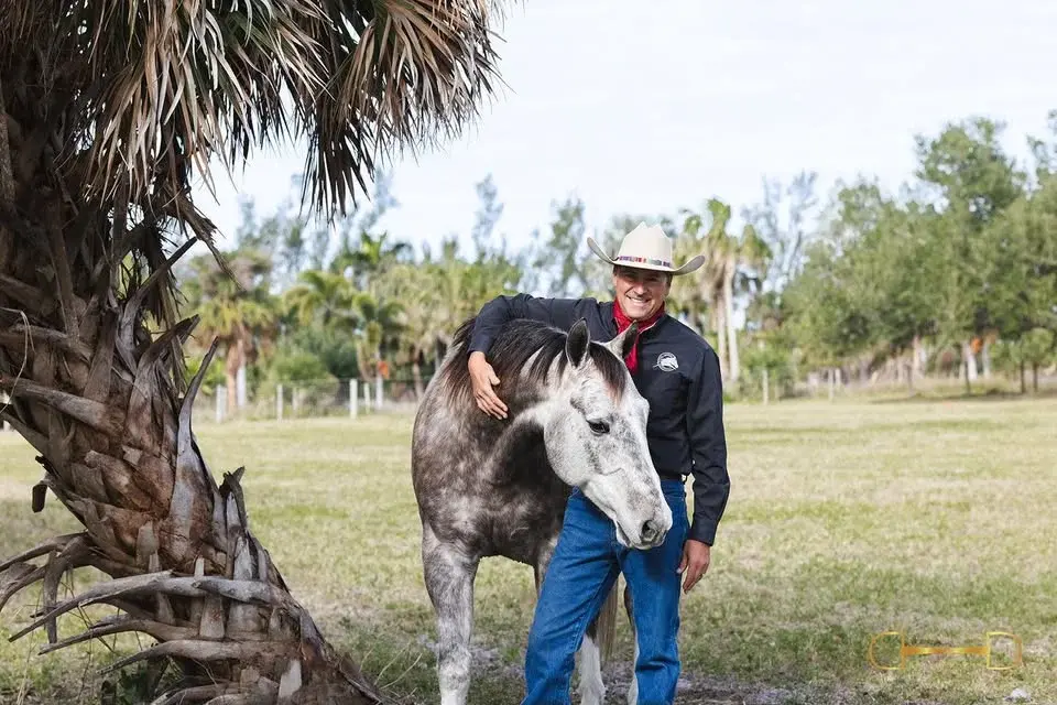 Parelli Horsemanship Level 2-4 with Tom Pompei Licensed 3* Parelli Professional