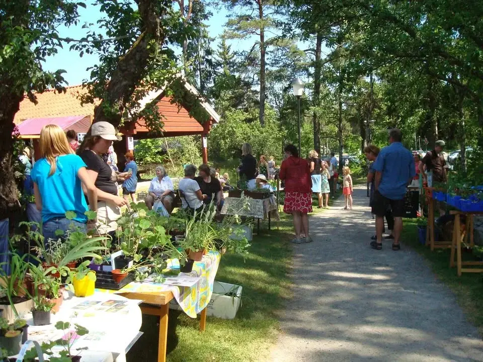 Växtloppis Café Nytorp