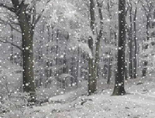 2026 FALLING SNOW