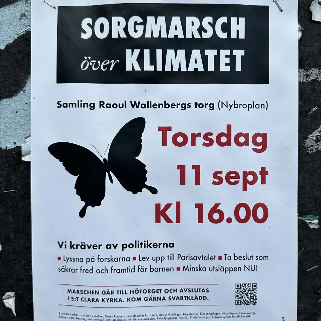 Sorgmarsch över Klimatet 🦋🌍
