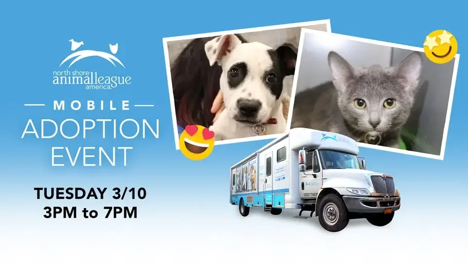 Meet Your New Best Friend at our MOBILE PET ADOPTION EVENT!