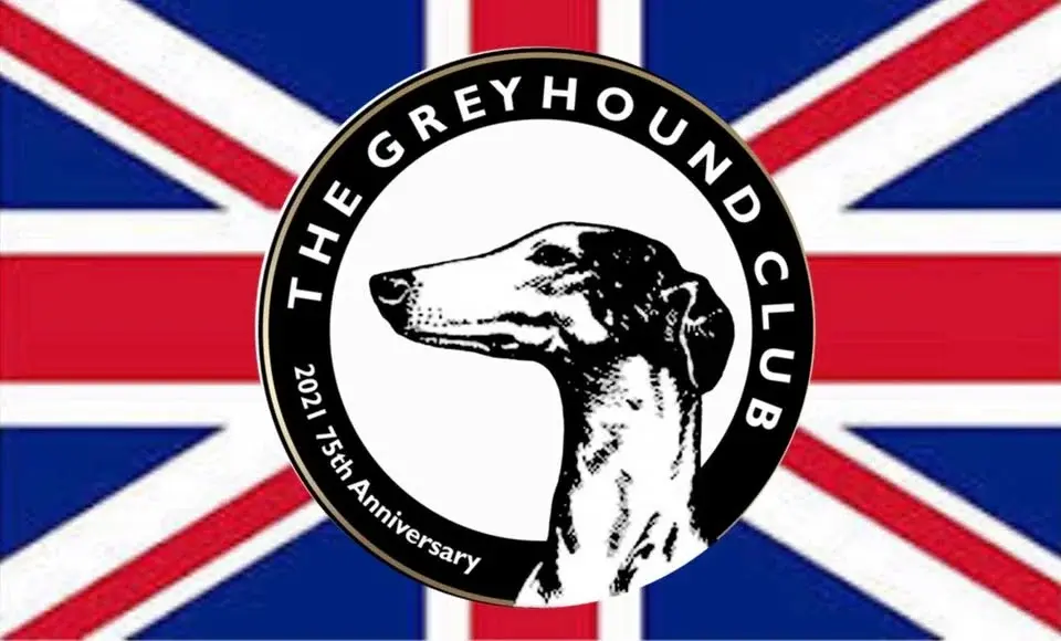 Greyhound Breed Lunch