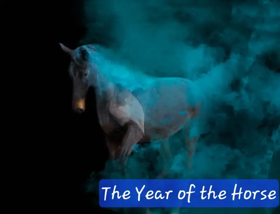 Be a better horse owner Event 2....All about Colic