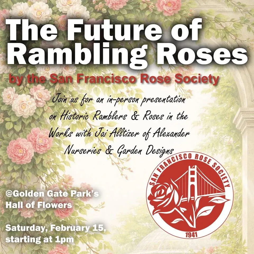 Historic Roses and Ramblers in the Garden