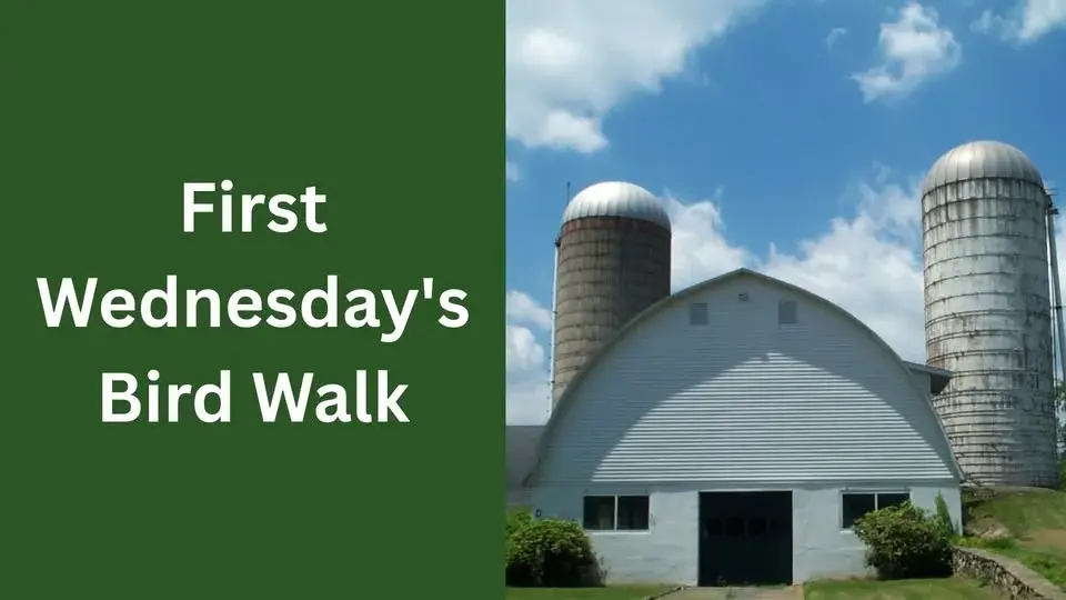 First Wednesday's Bird Walk