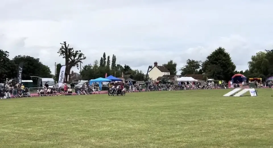 Wrangle Show