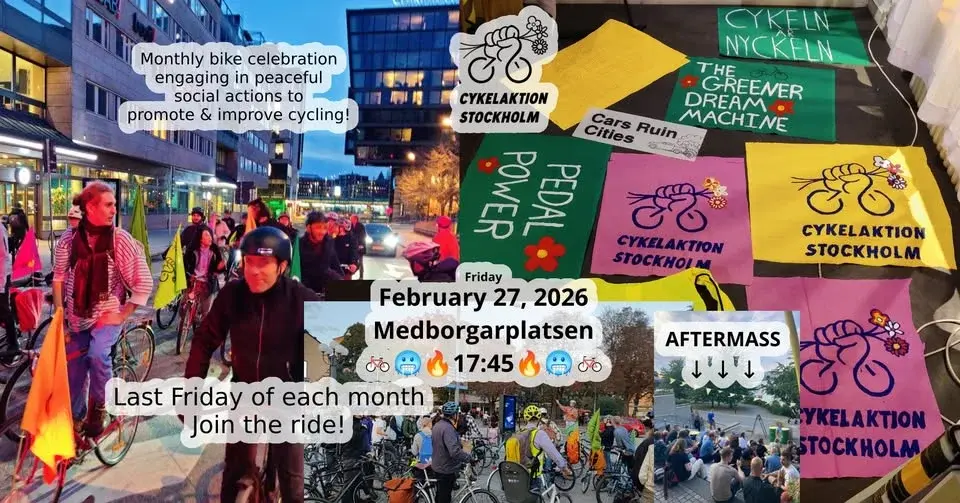 Critical Mass (February) 🥶🚲️
