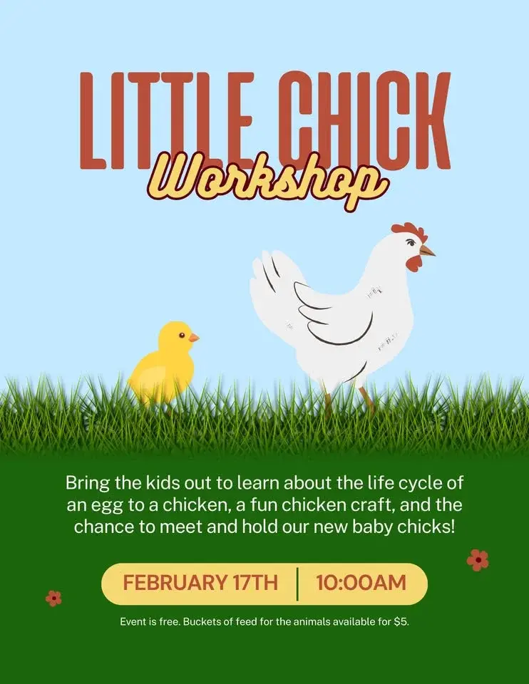 Little Chick Workshop at Preston Trail Farms