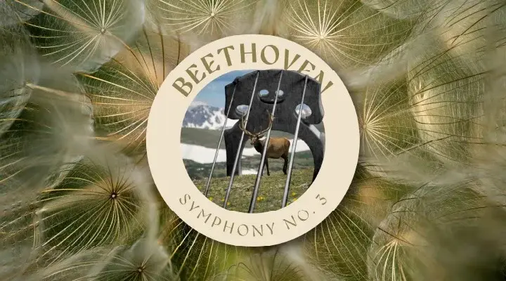 Beethoven Symphony No. 3 "Eroica"