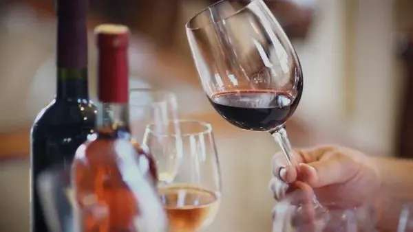 Young Adult (18-35) Wine Tasting