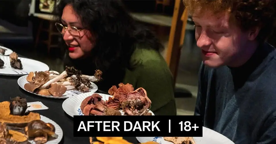After Dark: Wondrous Fungus