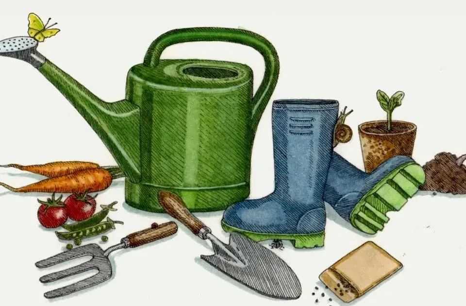 Go Wild - Children’s Nature Club