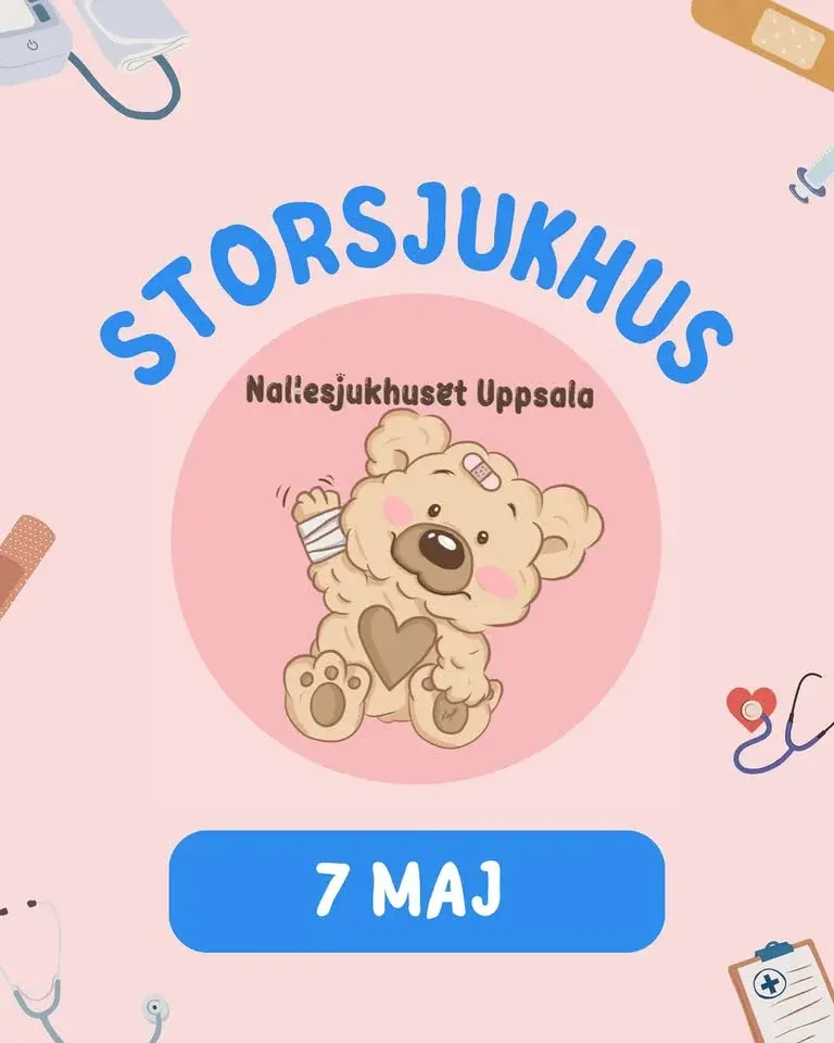 Storsjukhuset VT26