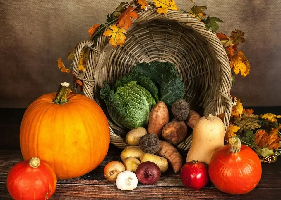 Harvest Festival Supper Club 