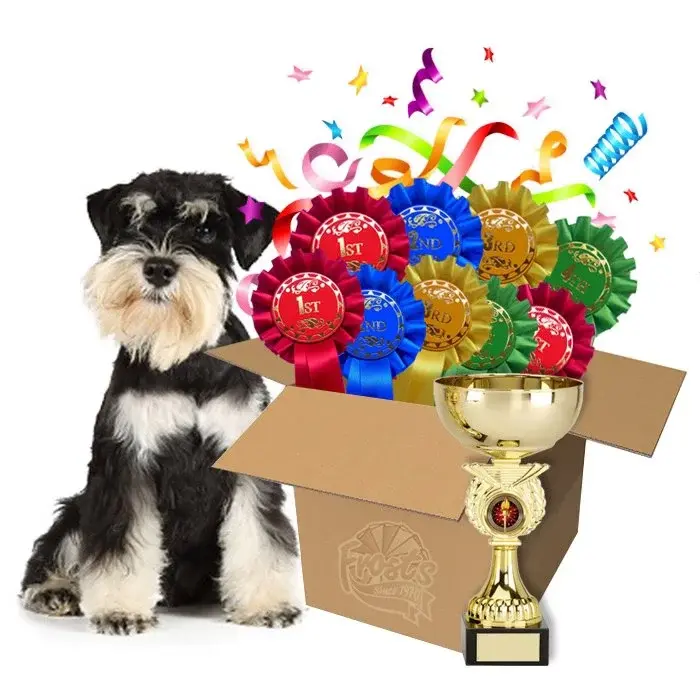 Fun Family Dog Show