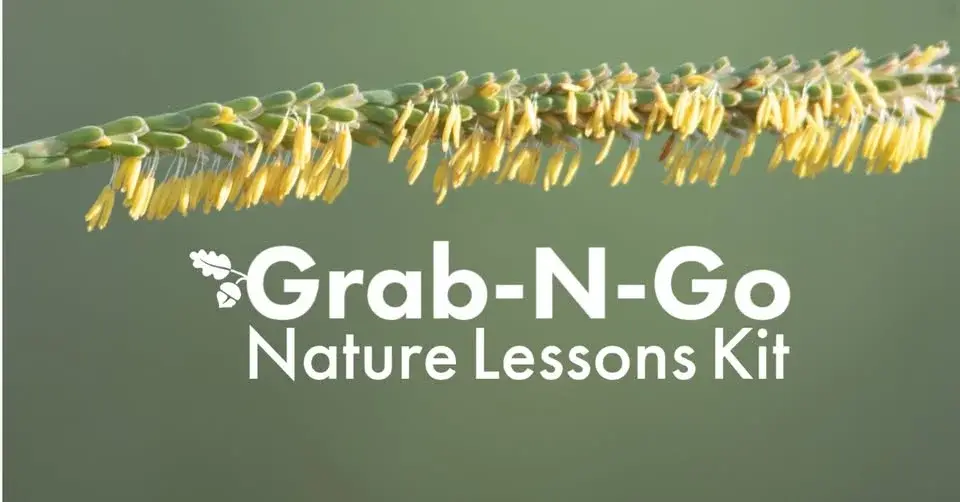 Grab N Go: Fabulous Fantasy