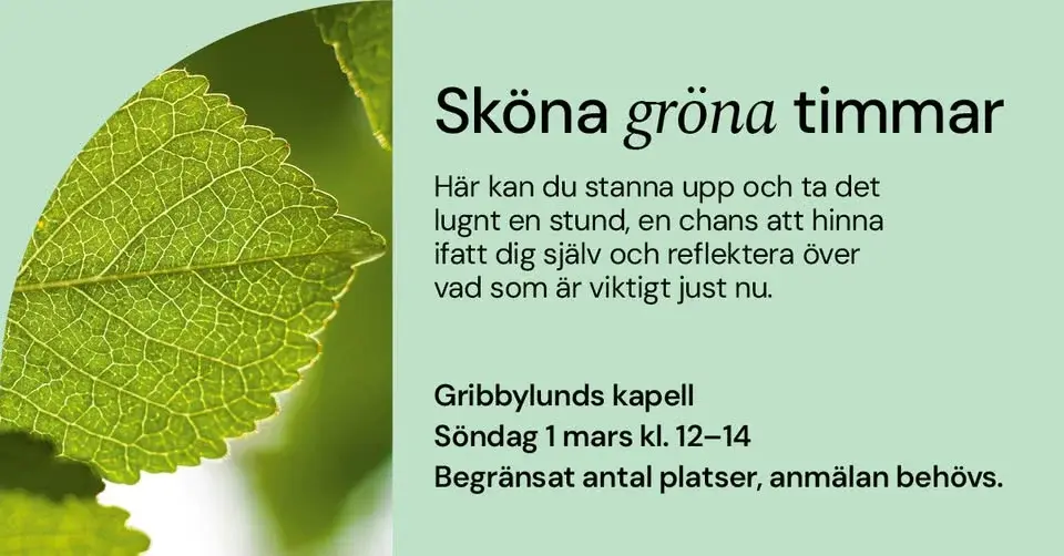 Sköna gröna timmar