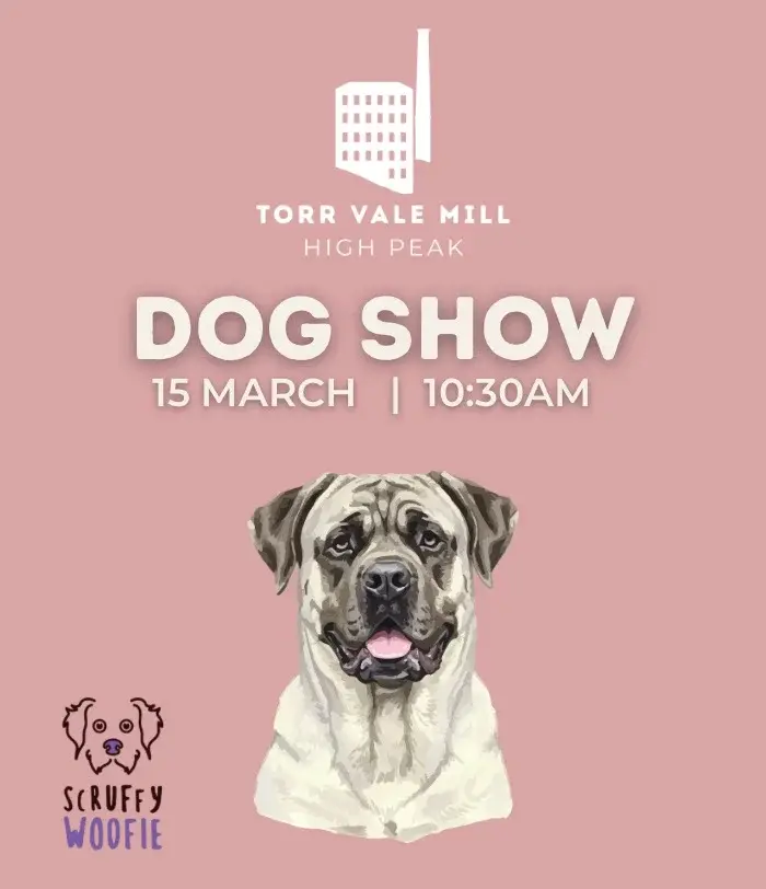 Fun Dog Show