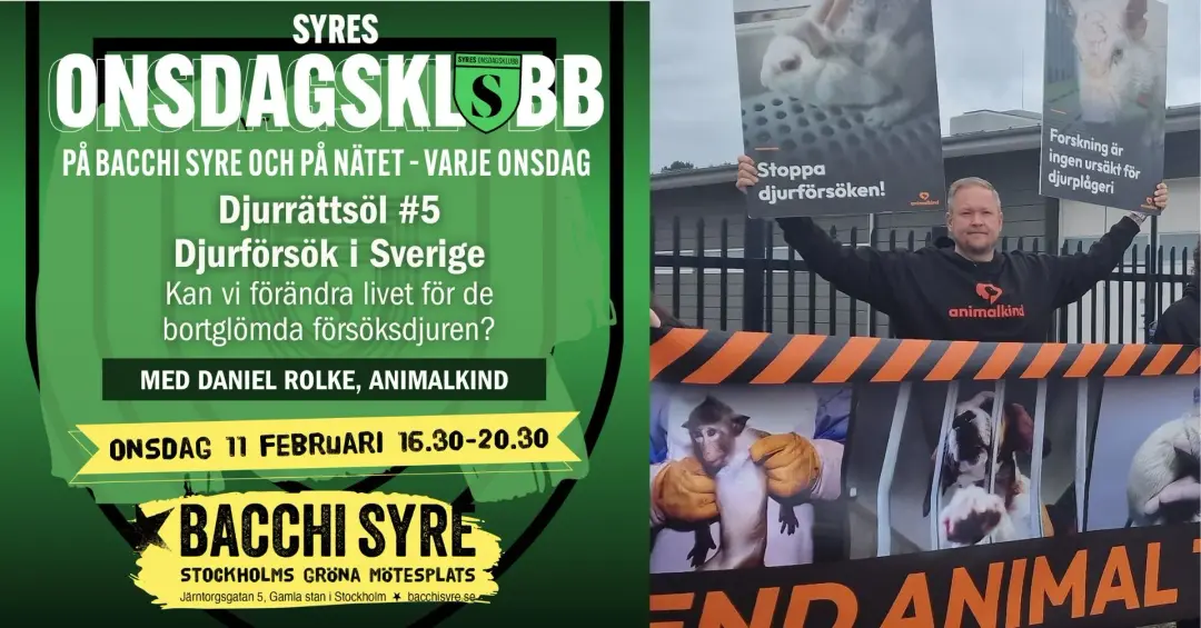 Syres onsdagsklubb – Djurrättsöl #5: Djurförsök i Sverige 