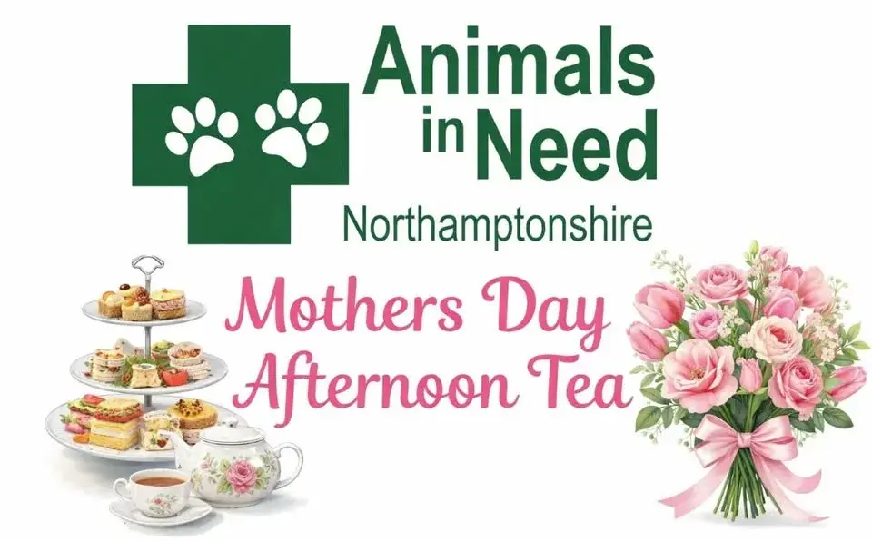 Mothers Day afternoon tea 🥂🌼
