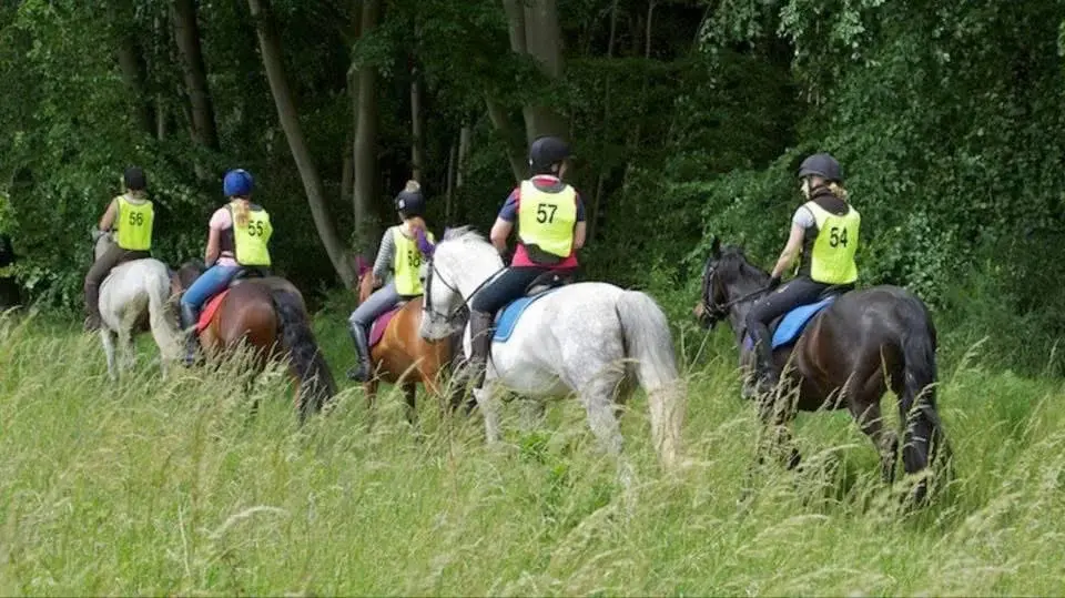 Spring Ride