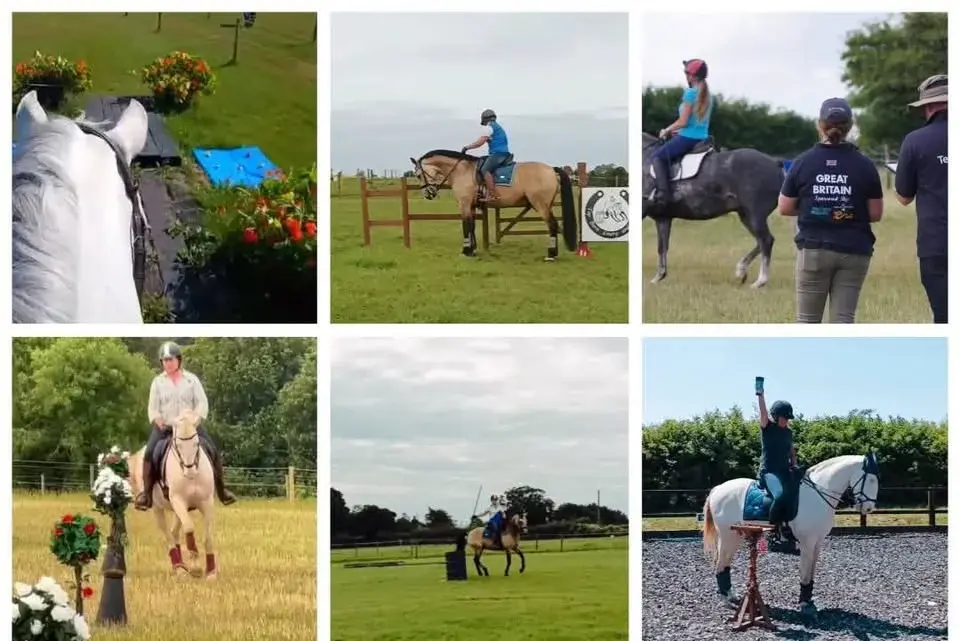 Working Equitation Training Competition July