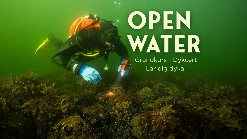 Dykcert, Grundkurs i Sportdykning – PADI Open Water Mars