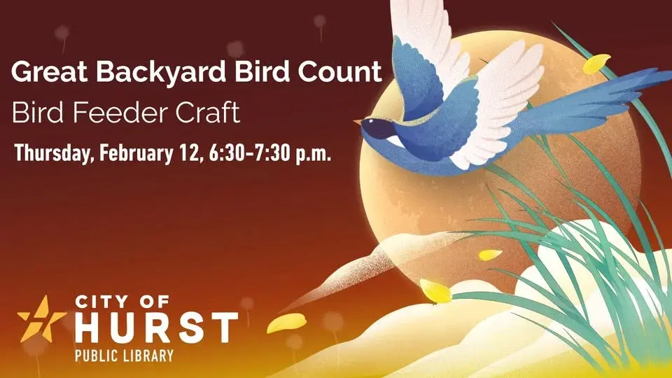 Great Backyard Bird Count Bird Feeder Craft