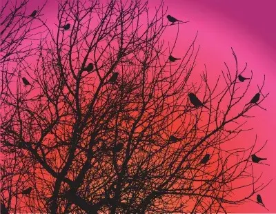 Valentine's Day Celebration:Way of Tantra: Planting the seed of Love and Awakening the beloved