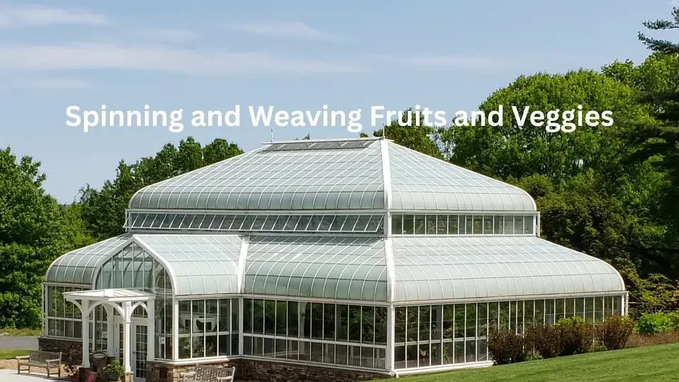 Spinning and Weaving Fruits and Veggies