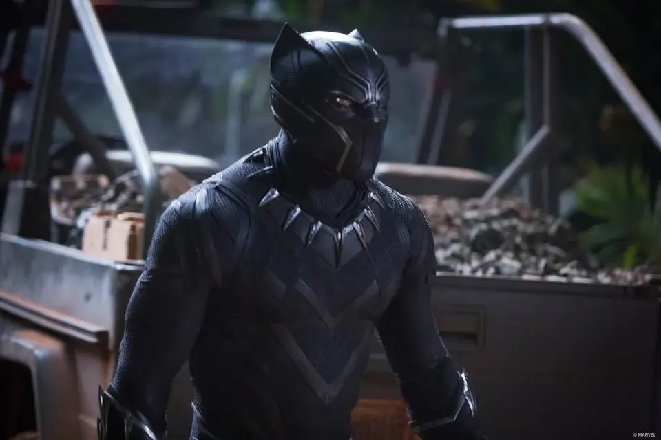 Black Panther in Concert