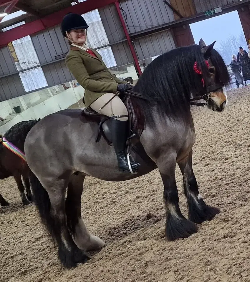 🌈INHAND & RIDDEN HORSE SHOW🌈 SUNDAY 8th MARCH 🌈 MILL LANE