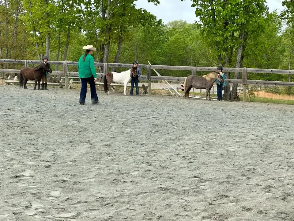 Summer Days All Breed Horse Show 