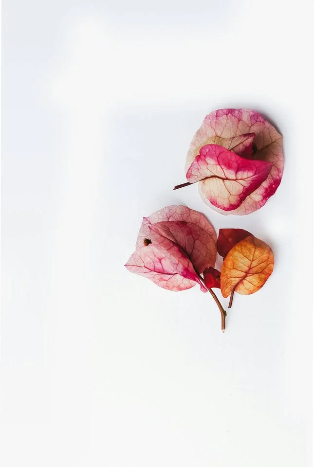 Fördjupningsretreat - omgiven på alla sidor