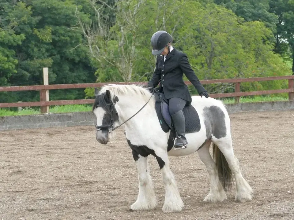 Dressage Series 4 - July 2026