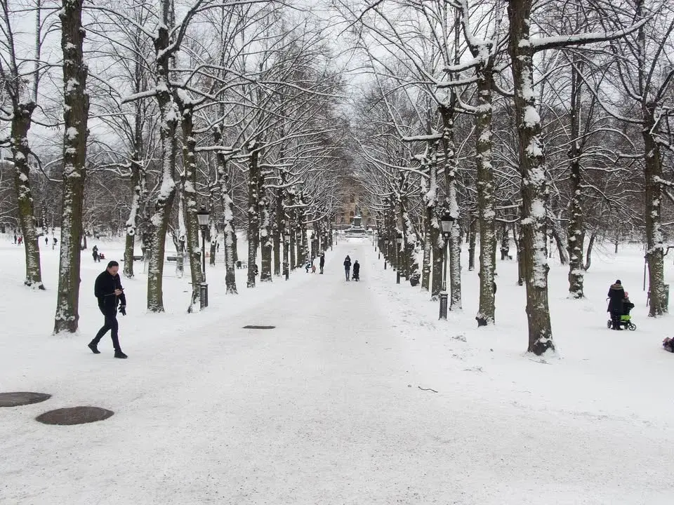 Vinterguidning i Humlegården