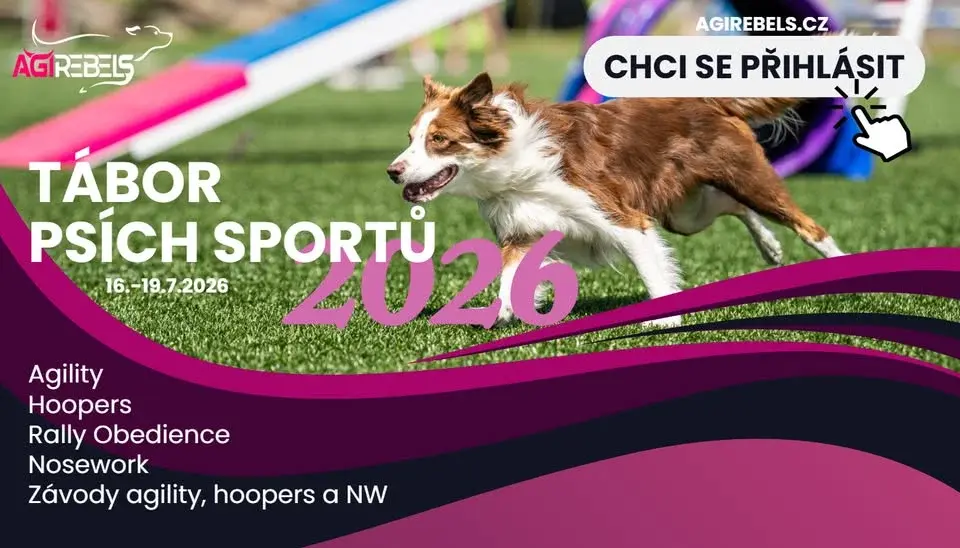 Tábor psích sportů - Valašská Bystřice 