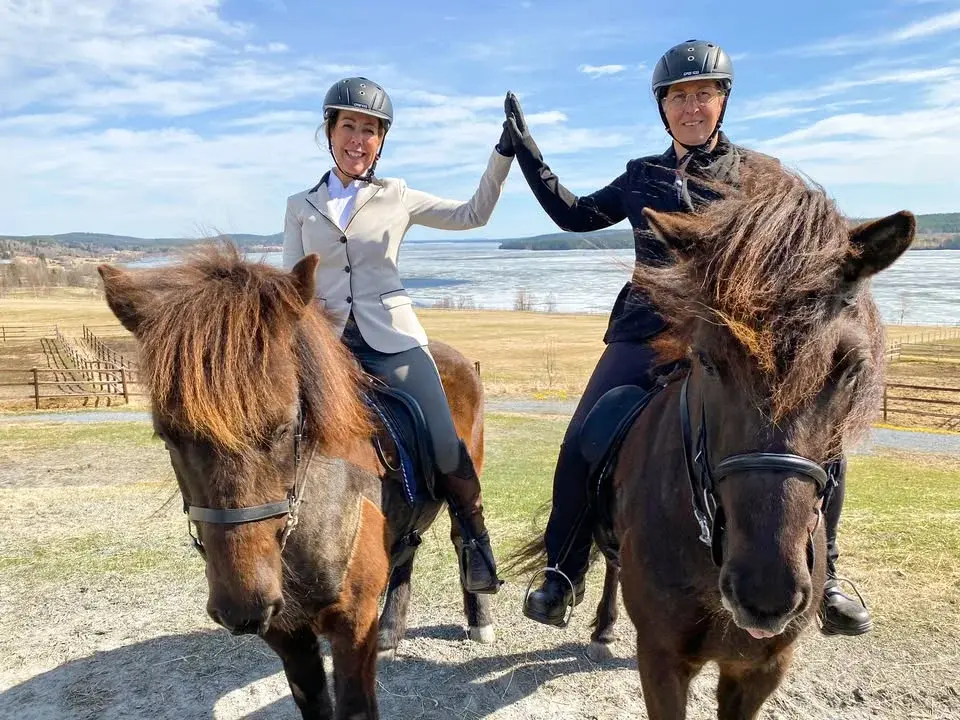 Clinic med hippologprogrammet på Eurohorse