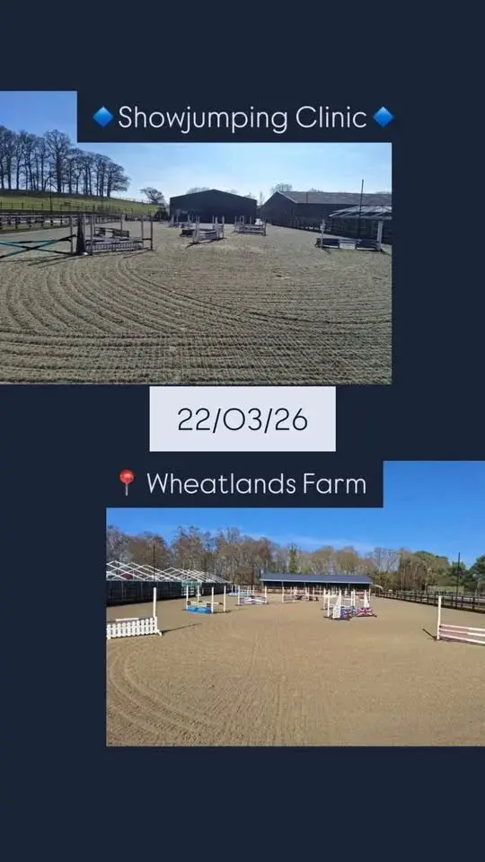 Showjumping Clinic