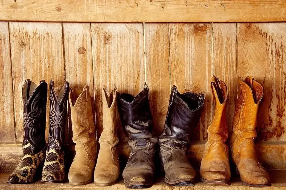Country Nights