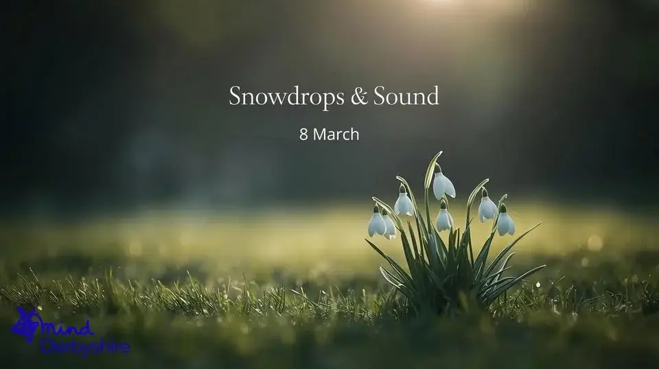 Snowdrops & Sound (Funded Event)