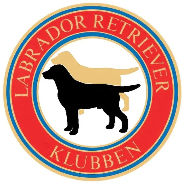 Fullmäktige 2026